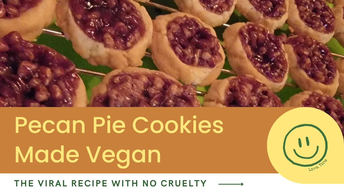 Plant Based Tone recipe visual for Pecan Pie Cookies Made Vegan