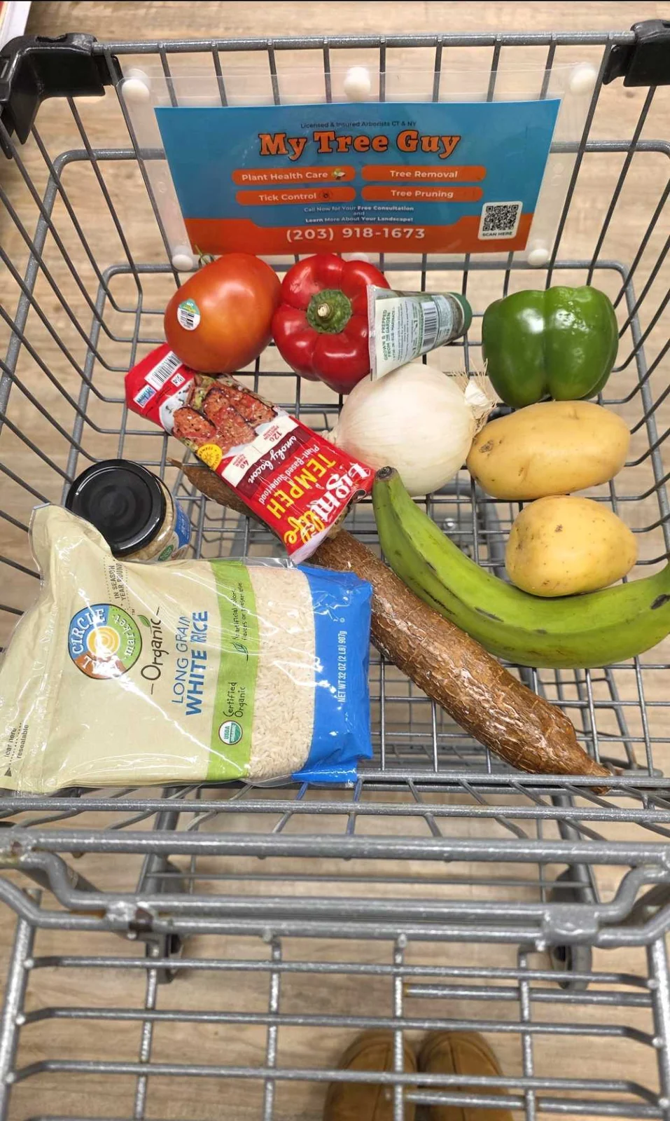 A shopping cart filled with plant-based cooking staples for the Plant Based Tone vegan cooking course